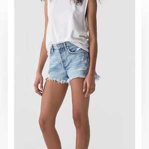 AGOLDE Parker Vintage Cut Off Short in Swapmeet